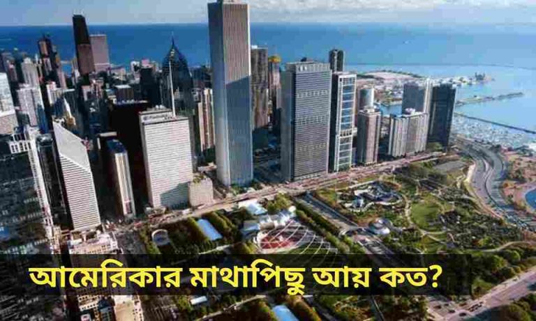 আমেরিকার মাথাপিছু আয় কত?