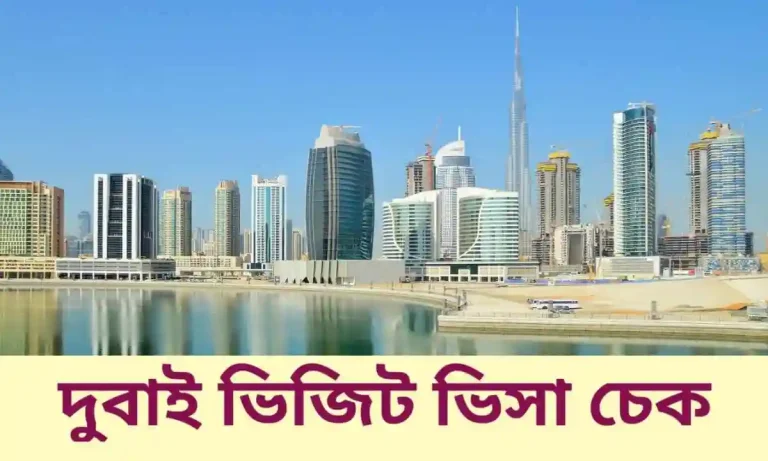 দুবাই ভিজিট ভিসা চেক করুন ১ মিনিটে।