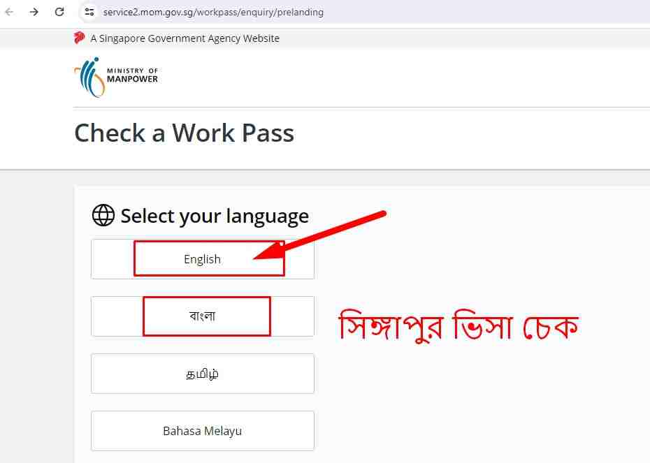 singapore visa check