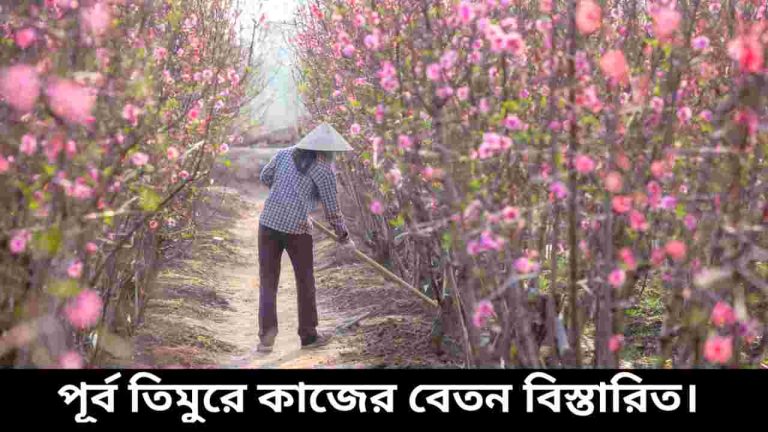 পূর্ব তিমুর কাজের বেতন ২০২৫।ভিসা খরচ ও আবেদন প্রক্রিয়া