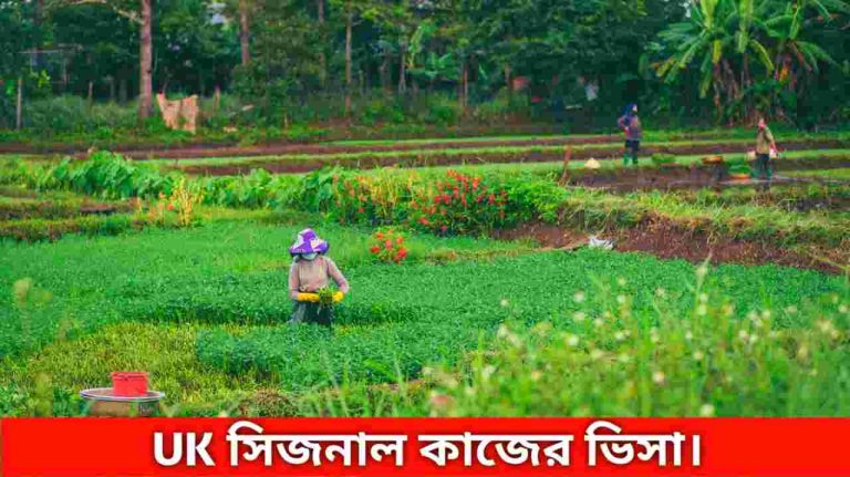 যুক্তরাজ্যে সিজনাল ওয়ার্কার ভিসা ২০২৫।খরচ,আবেদন ও বেতন